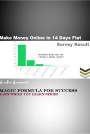 Make Money Online In 14 Days Flat – Magic Formula For Success